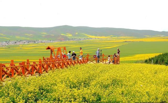 青島推動文旅項(xiàng)目多領(lǐng)域、多業(yè)態(tài)、多層次發(fā)展